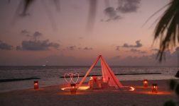 Pergola Dinner 1