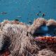 Underwater