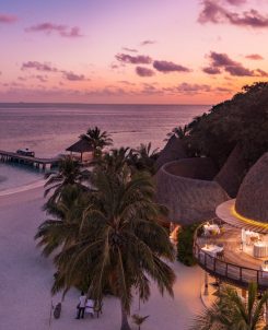 Batch Olive At Kandolhu