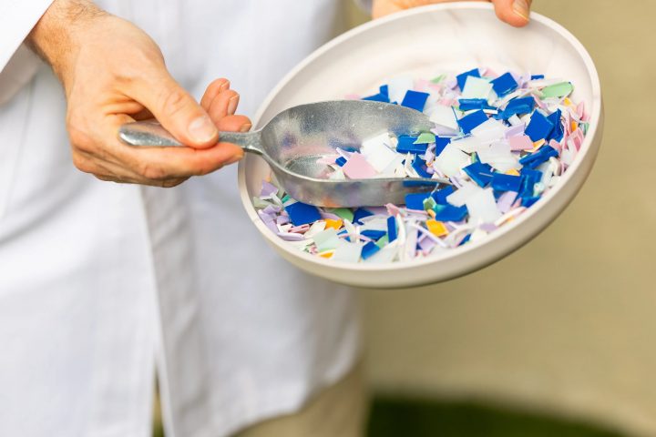 Ecobirdy Workshop Large1