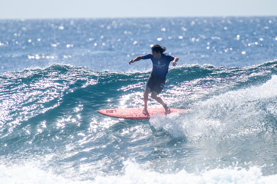 01 Ted3620 Large Copy