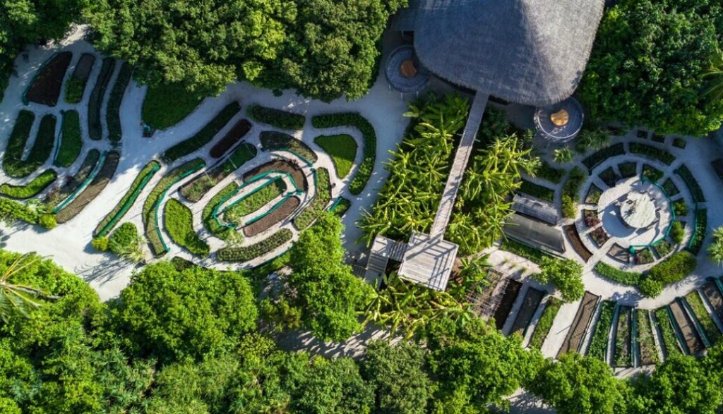 1035x593 Q3bu1vnpsncvqhupqbg45m9t96faqmkqeuk74fn6