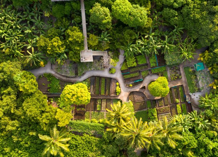 13856 Soneva Fushi Organic Gardens