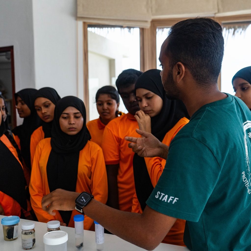 486529054 1060516459435674 6287738956474618796 N