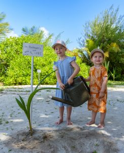 Green Globe Bandos 3