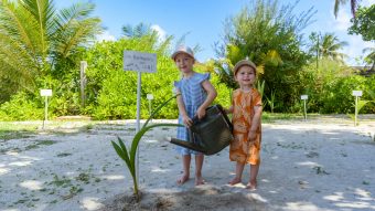 Green Globe Bandos 3