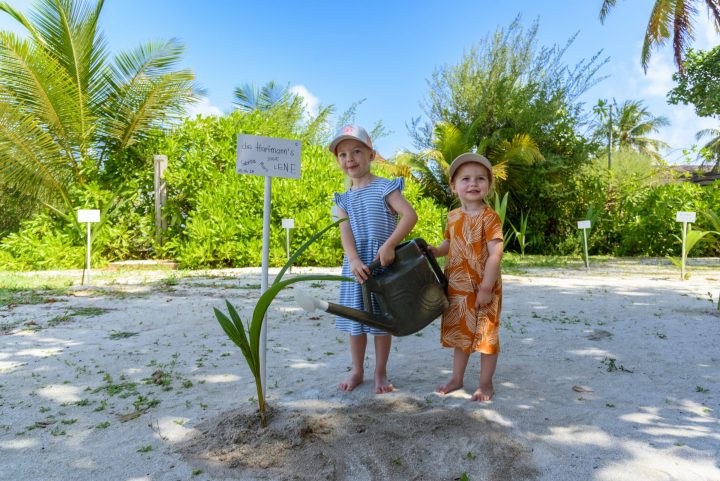 Green Globe Bandos 3