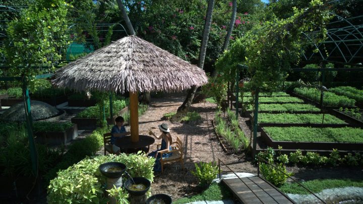 Guest In Secret Garden