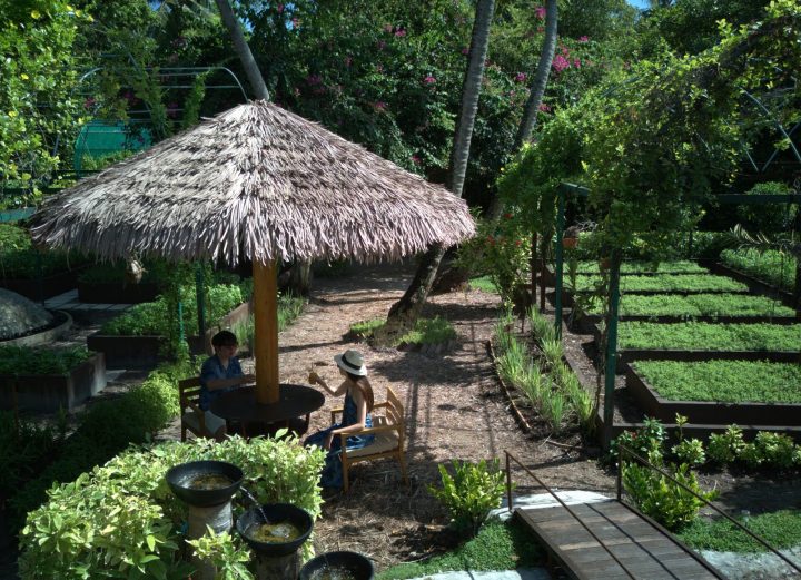 Guest In Secret Garden