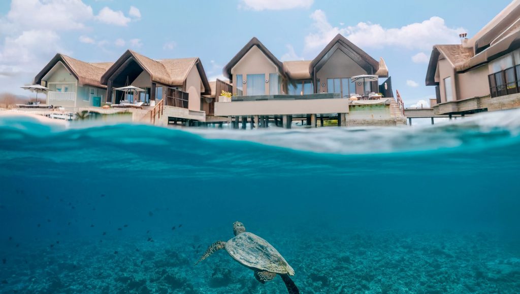 Joali Being Villas With Turtle 2260x1280px