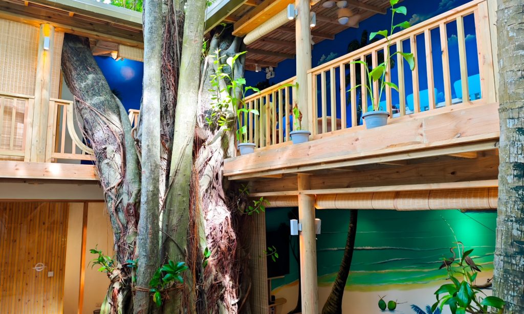 Batch Img 20250901 143828 Picsart Aiimageenhancer