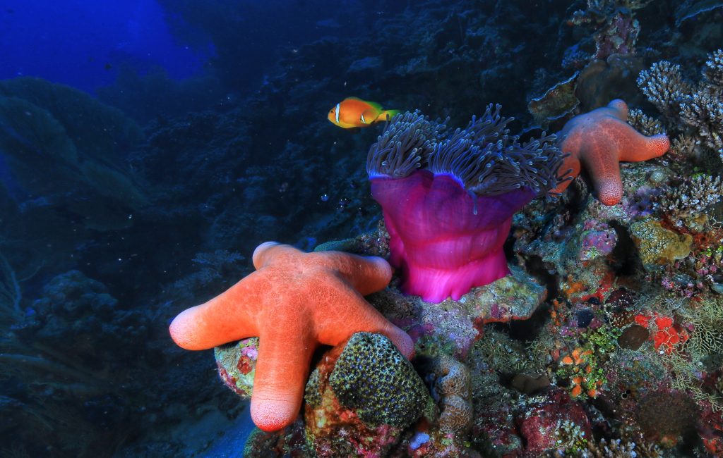 7319e2f3 F4e3 4c28 A9c9 7256a2011b4b