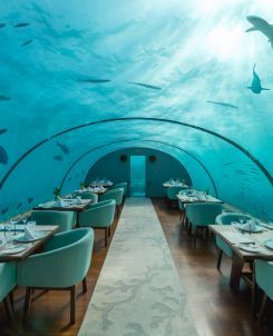 Cmri Ithaa Undersea Resturant 3 (1)