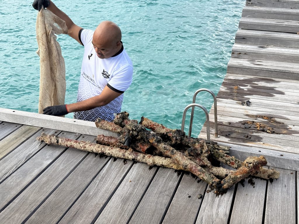 Photo Sep 15 2025, 3 34 51 Pm