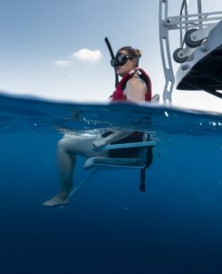 Accessible Snorkelling At Amilla Ii