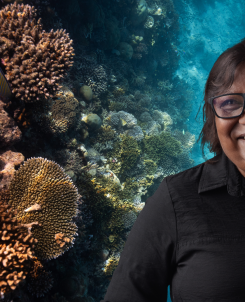 K.shaahina Image + Video