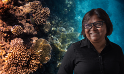 K.shaahina Image + Video