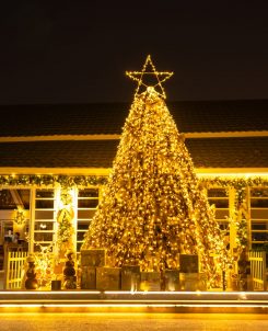 Sheraton Maldives Full Moon Resort & Spa Christmas Tree Lighting