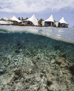 W Maldives Sea Of Stars 10