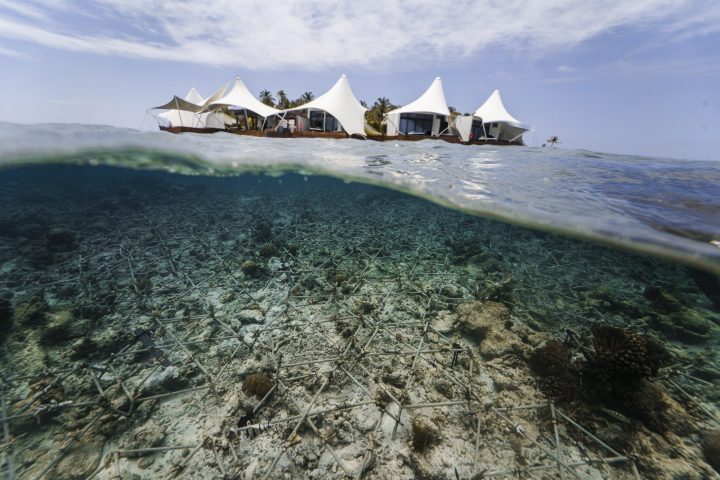 W Maldives Sea Of Stars 10