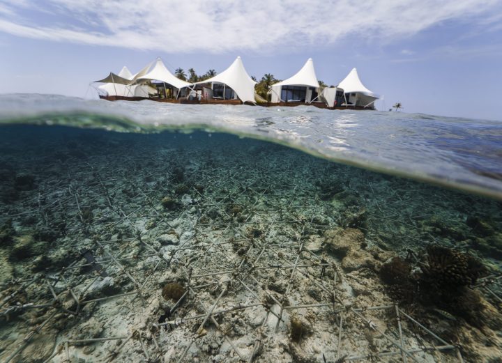 W Maldives Sea Of Stars 10