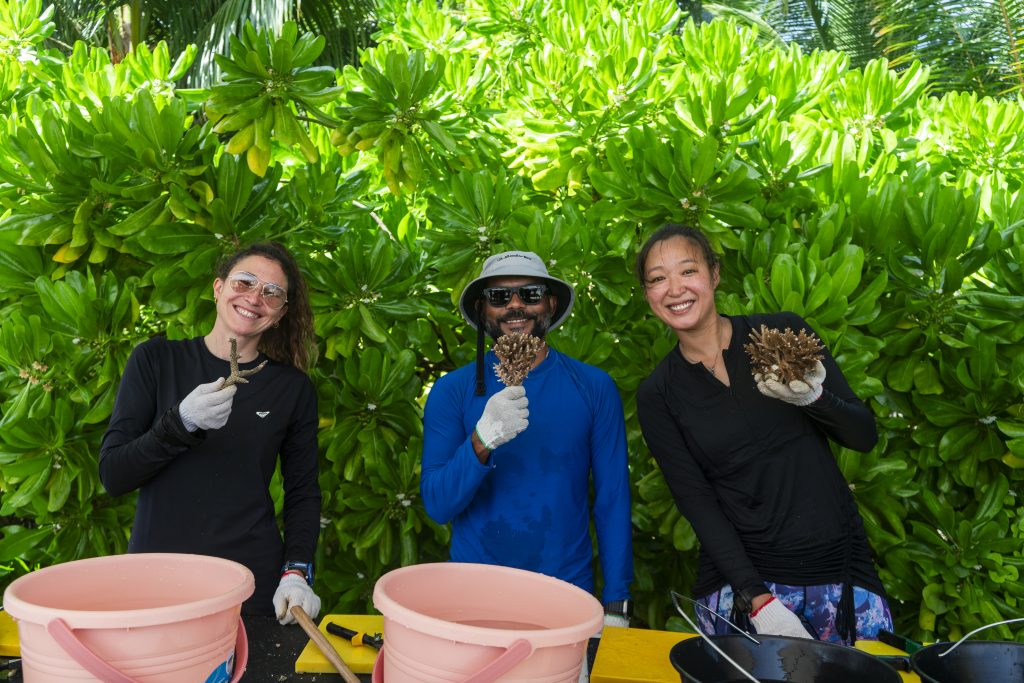 W Maldives Sea Of Stars 3