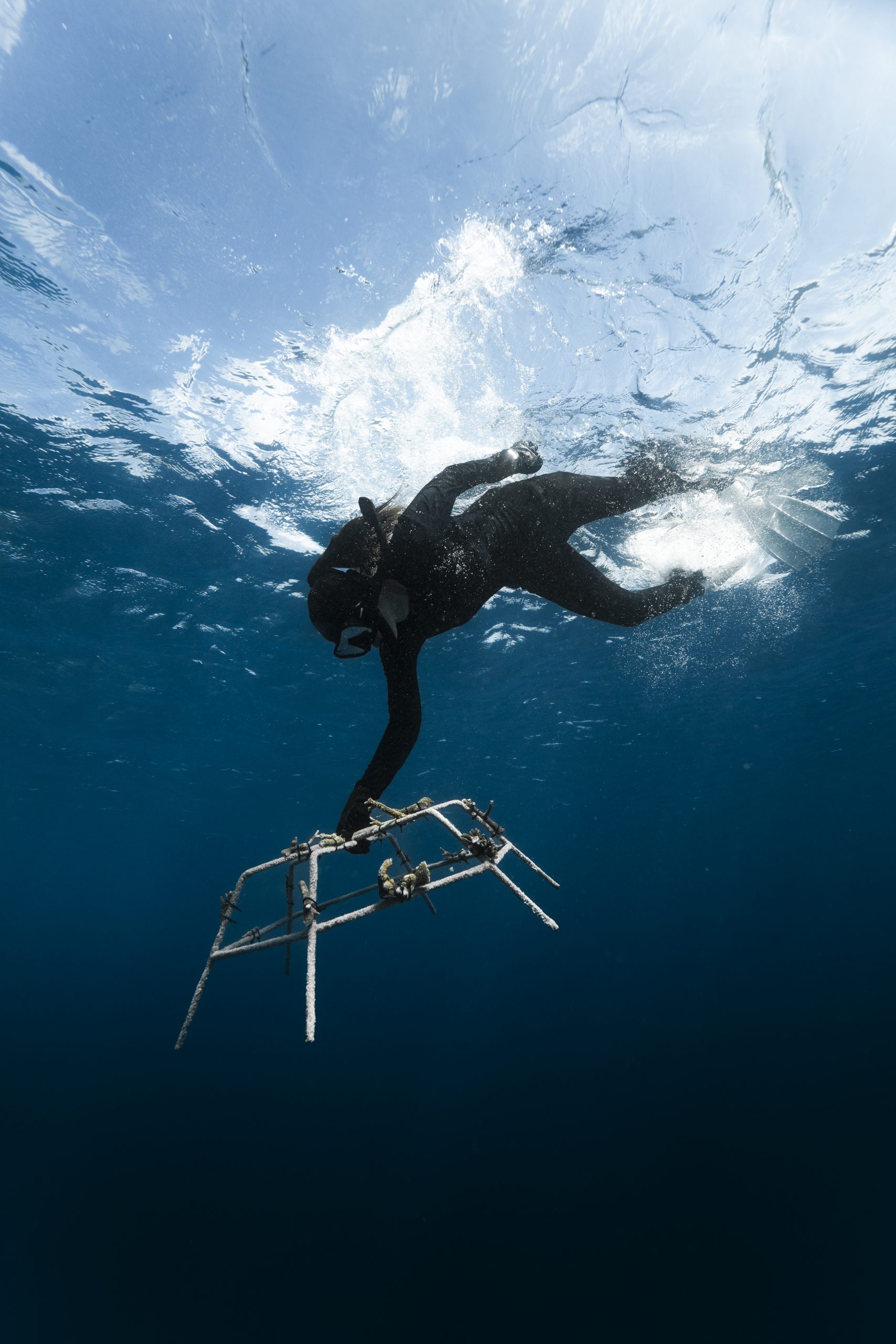 W Maldives Sea Of Stars 4