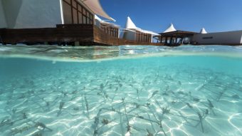 W Maldives Sea Of Stars 9