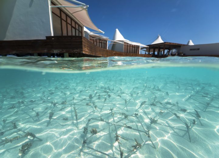 W Maldives Sea Of Stars 9