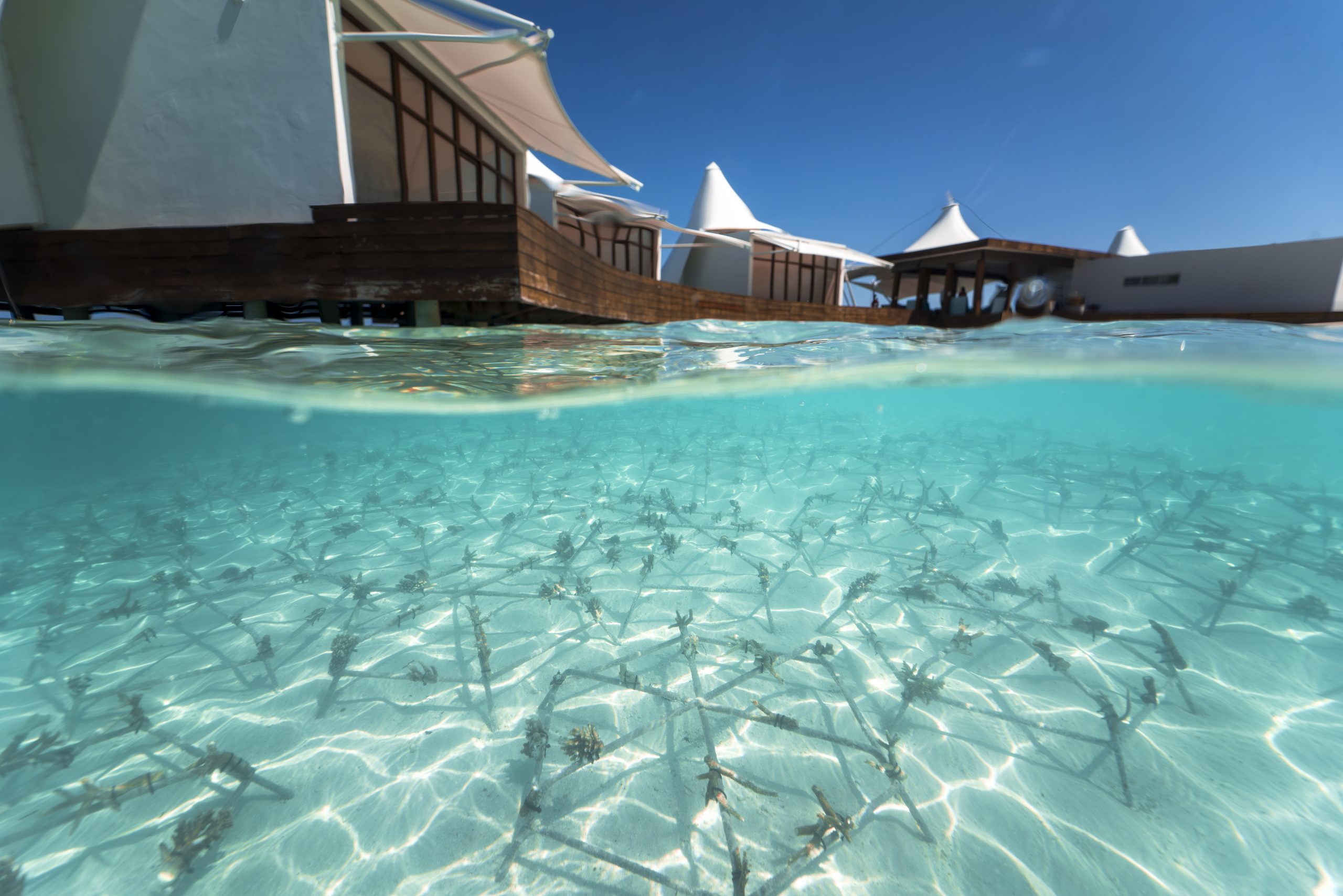 W Maldives earns first Green Globe sustainability certification