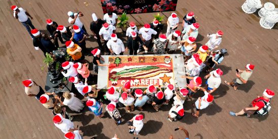 Aerial Grab Still Canareef