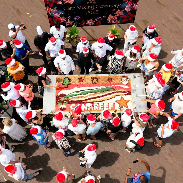 Aerial Grab Still Canareef