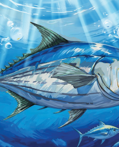 December Media Visual 2