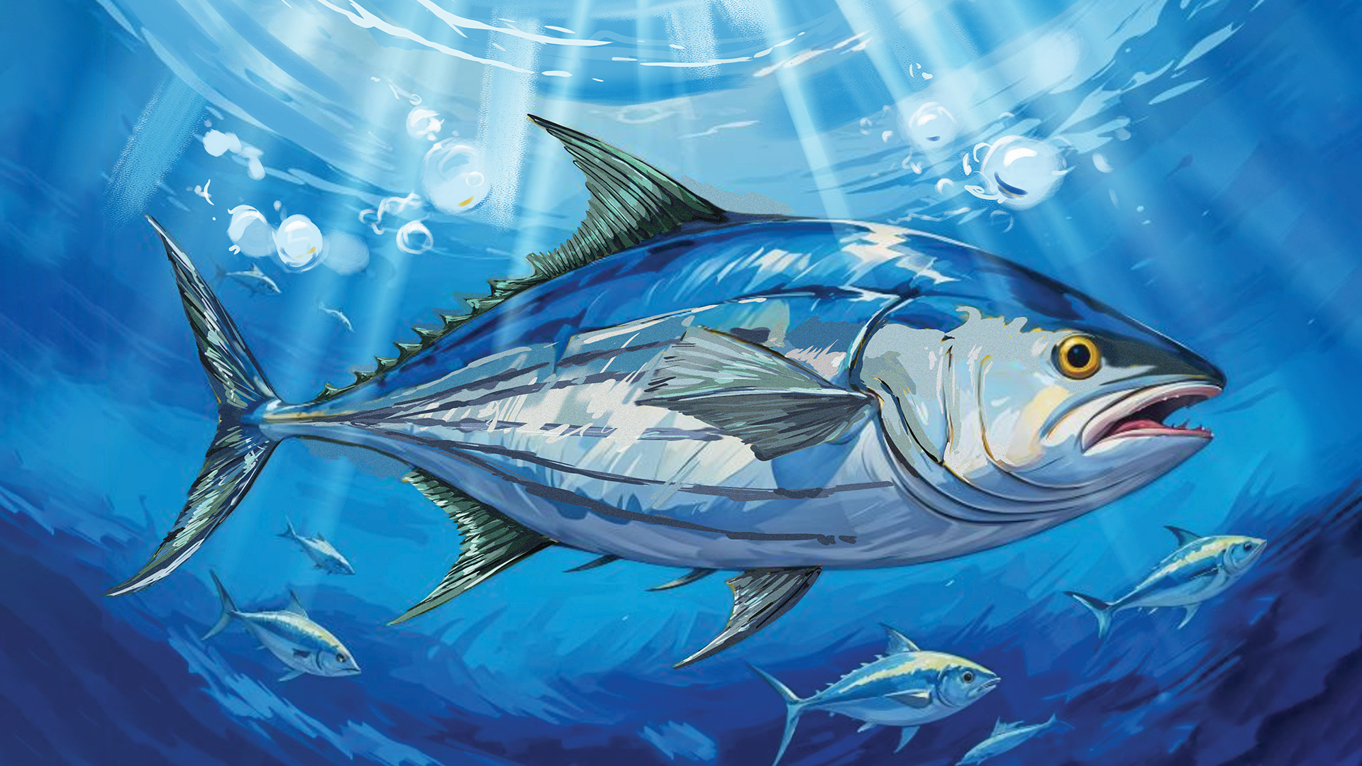 Dhiraagu dedicates December in 2025 calendar for Maldivian fishing