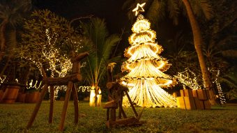 Upcycled Tree Made From Palm Branches A