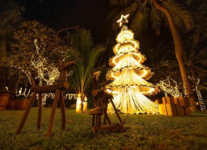 Upcycled Tree Made From Palm Branches A