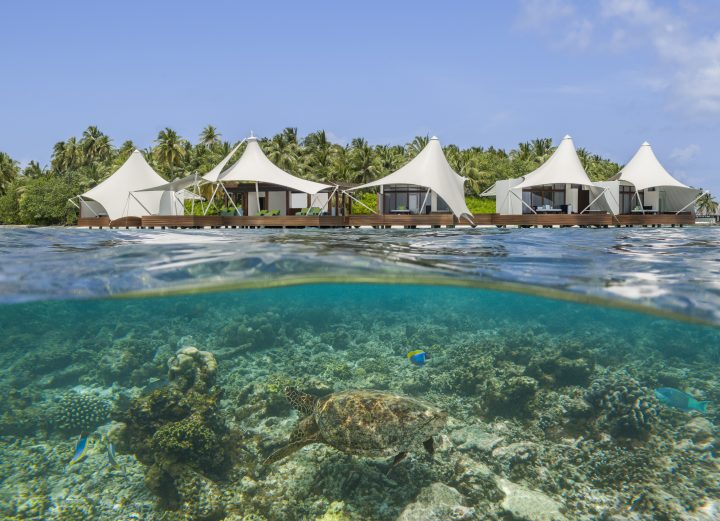 W Maldives