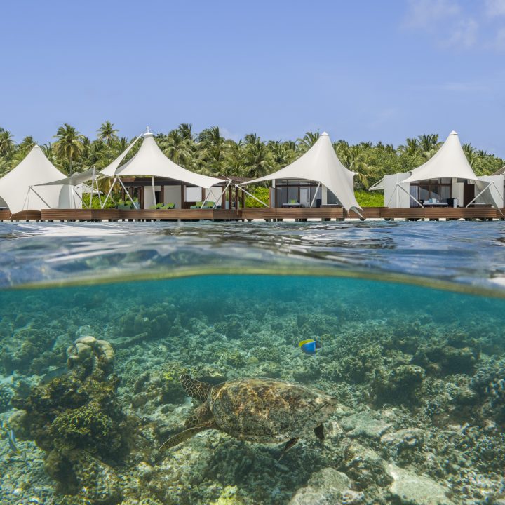 W Maldives