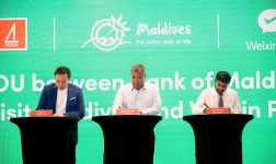 Whatsapp Image 2025 12 17 At 08.18.44