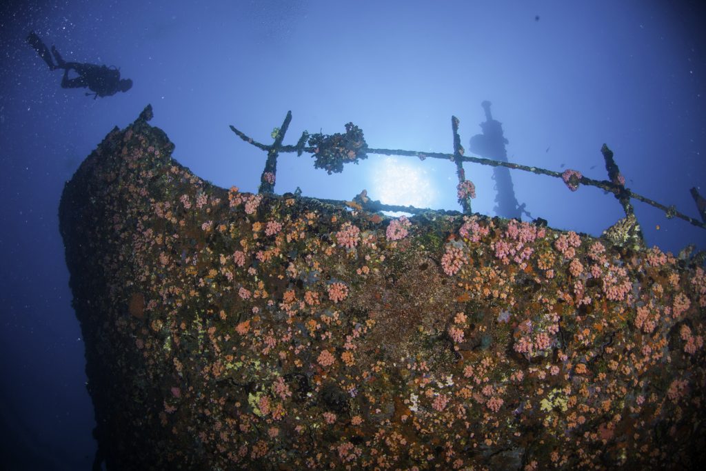 Centara Grand Island Resort & Spa Maldives Diving