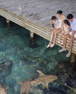 Image 06 Machchafushi Island