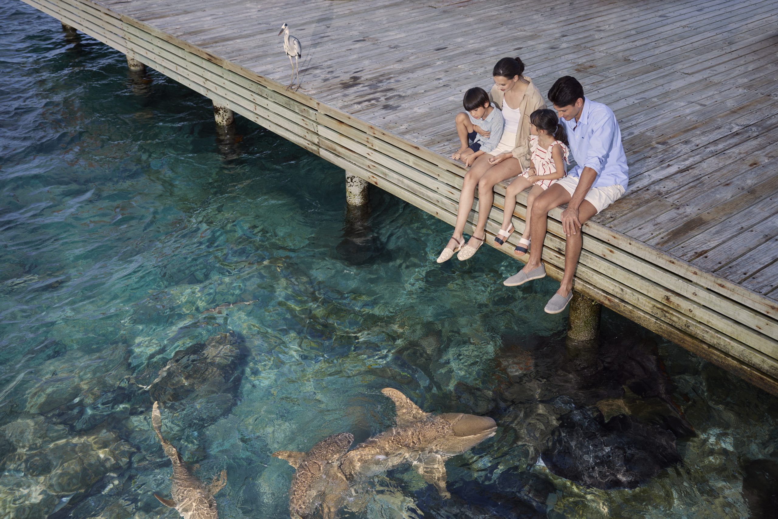 Machchafushi Island: A year of stewardship for sea, land, life