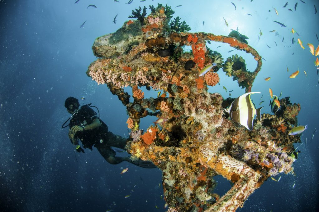 Centara Grand Island Resort & Spa Maldives Diving