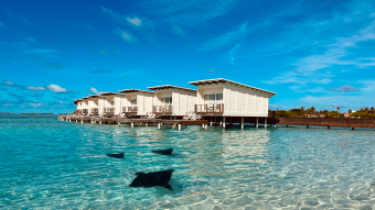 OWV with Manta in foreground