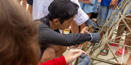 SSO Coral Planting