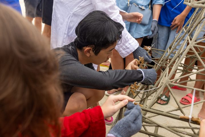 SSO Coral Planting