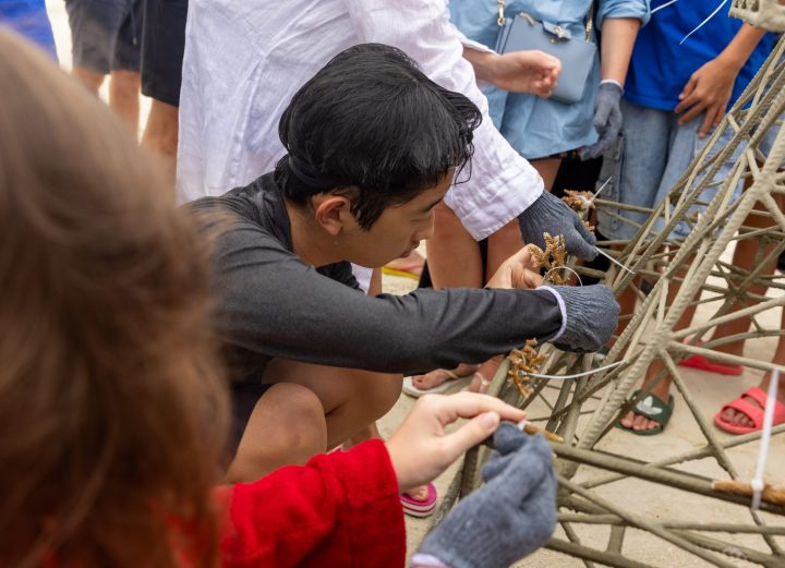 SSO Coral Planting