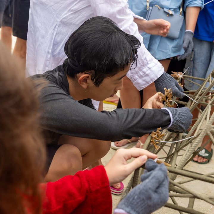 SSO Coral Planting