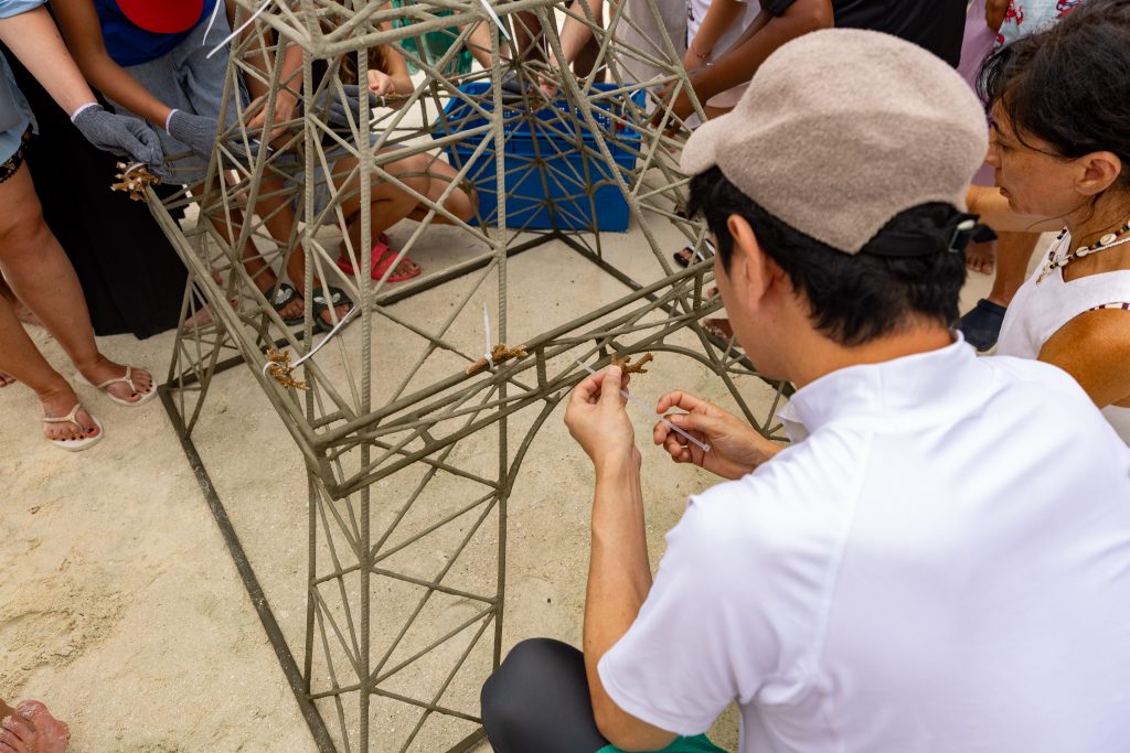 SSO Coral Planting