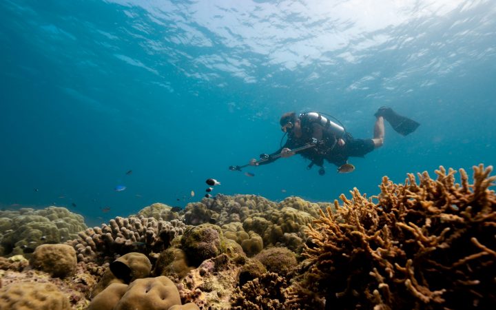 Six Senses Kanuhura Coral Census Taking Photogrammetry Images2